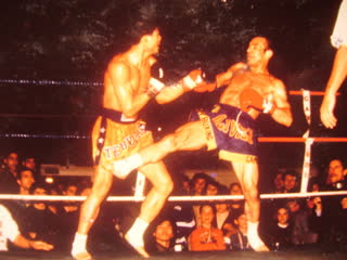 Archive Olivier Marion