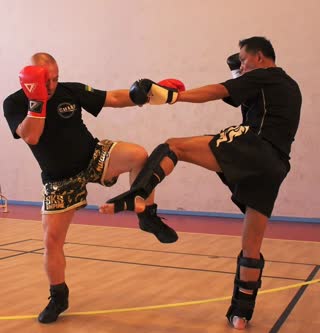 Archive Olivier Marion