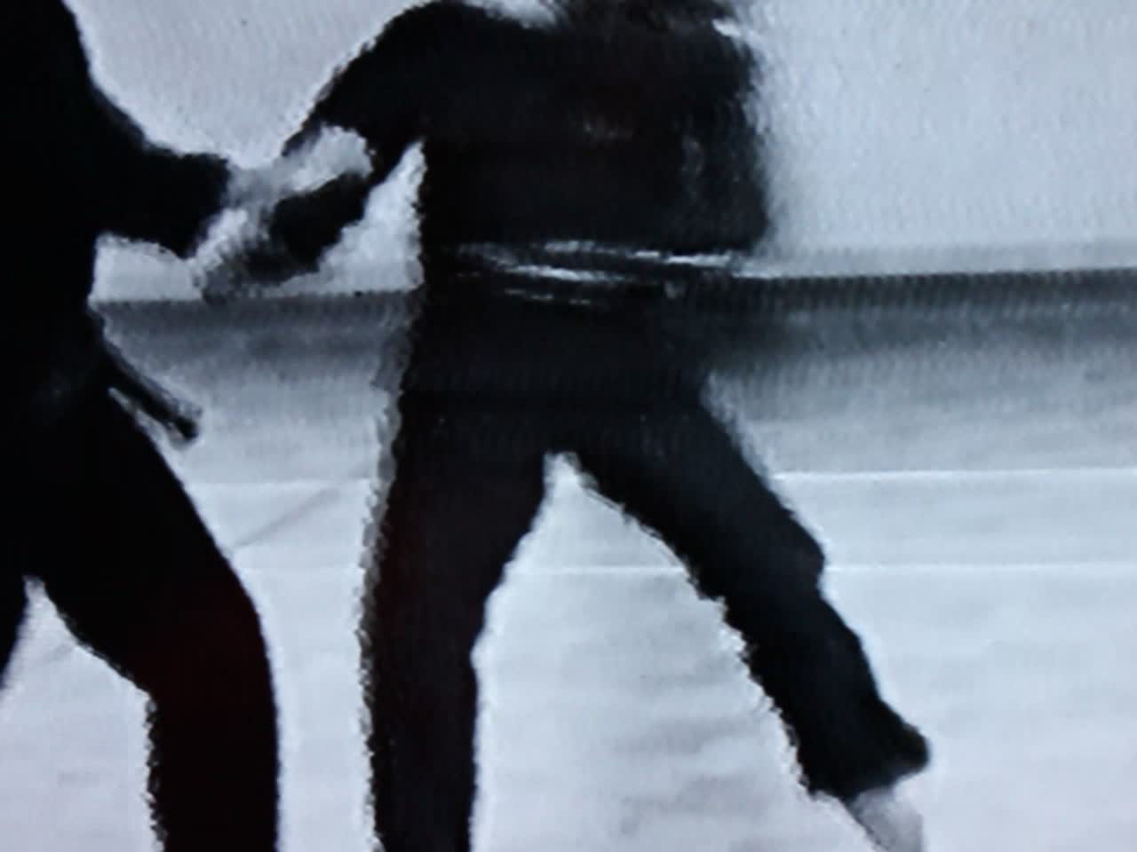 Vidéo MVI_5213.webm