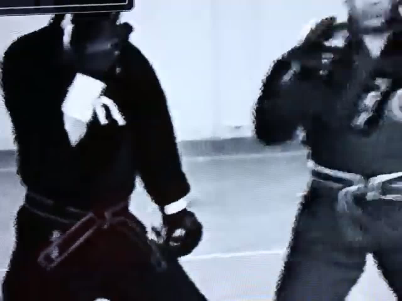 Démonstration à la Nuit des arts martiaux (1995)